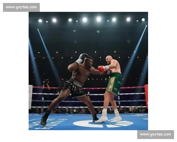 UFC纳干诺对决凯恩重量级王权更迭的历史性一战巅峰碰撞引爆全球擂台