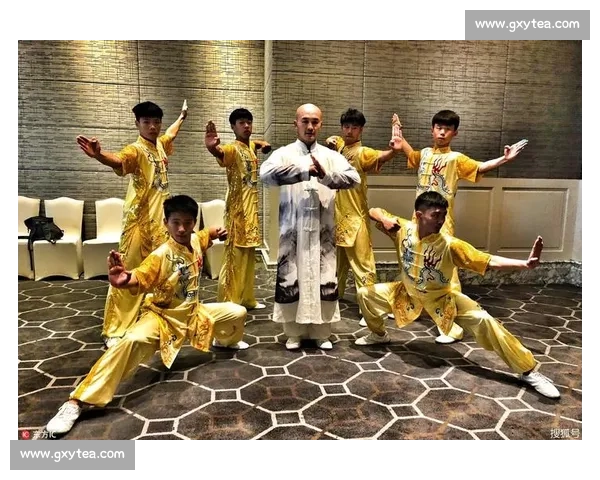 一龙对阵太极拳引发传统武术与现代搏击的真实碰撞与反思价值讨论