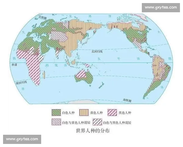 从贸易科技到秩序博弈的美国对抗全世界新格局深度解析与未来走向